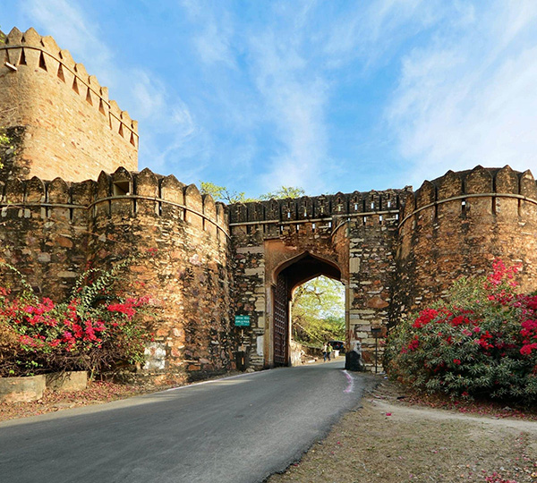 chittorgarh-fort-india